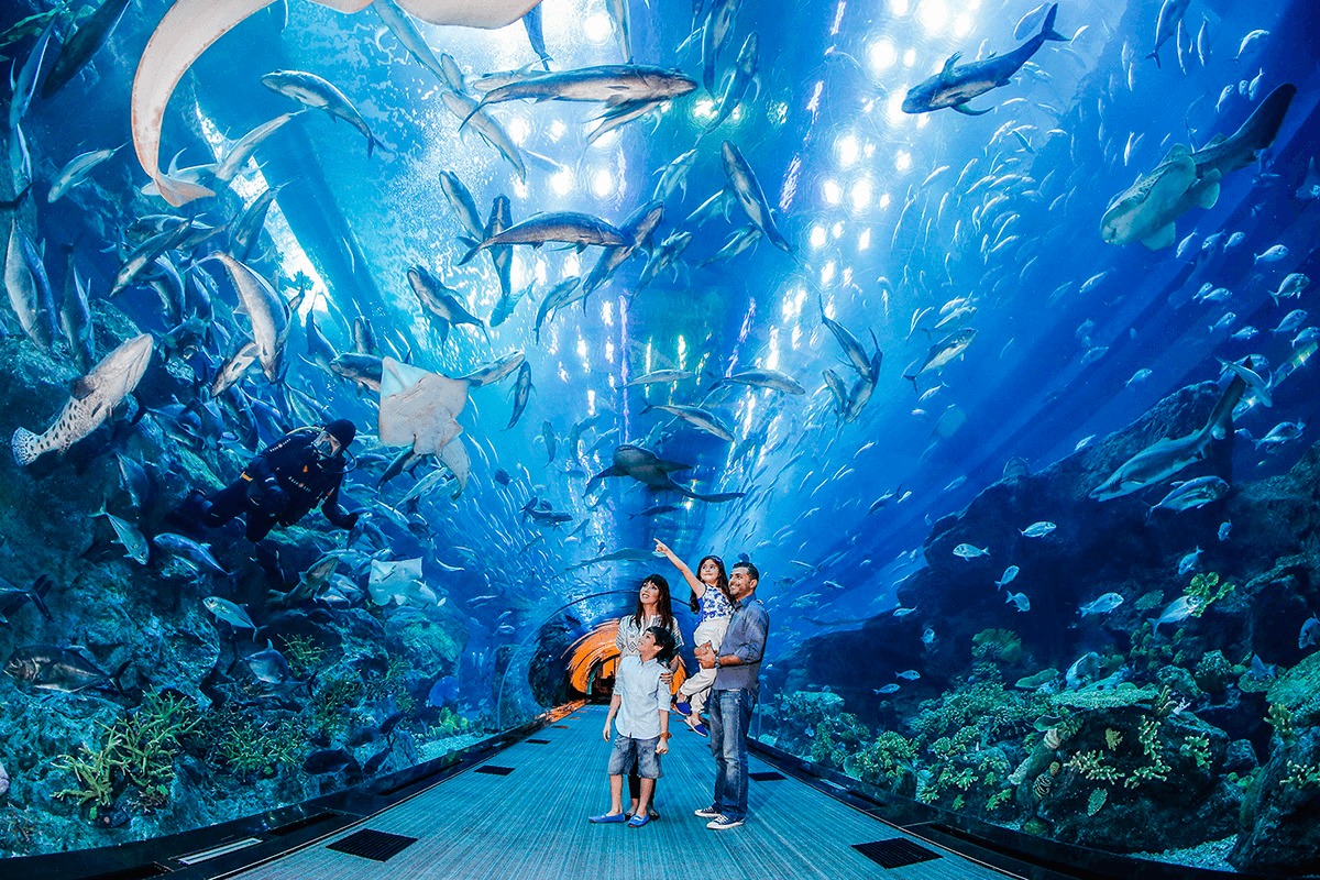 Dubai Aquarium & Underwater Zoo, Dubai